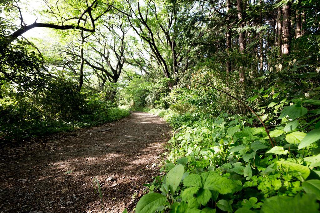 The Canvas Hayama Park Extérieur photo